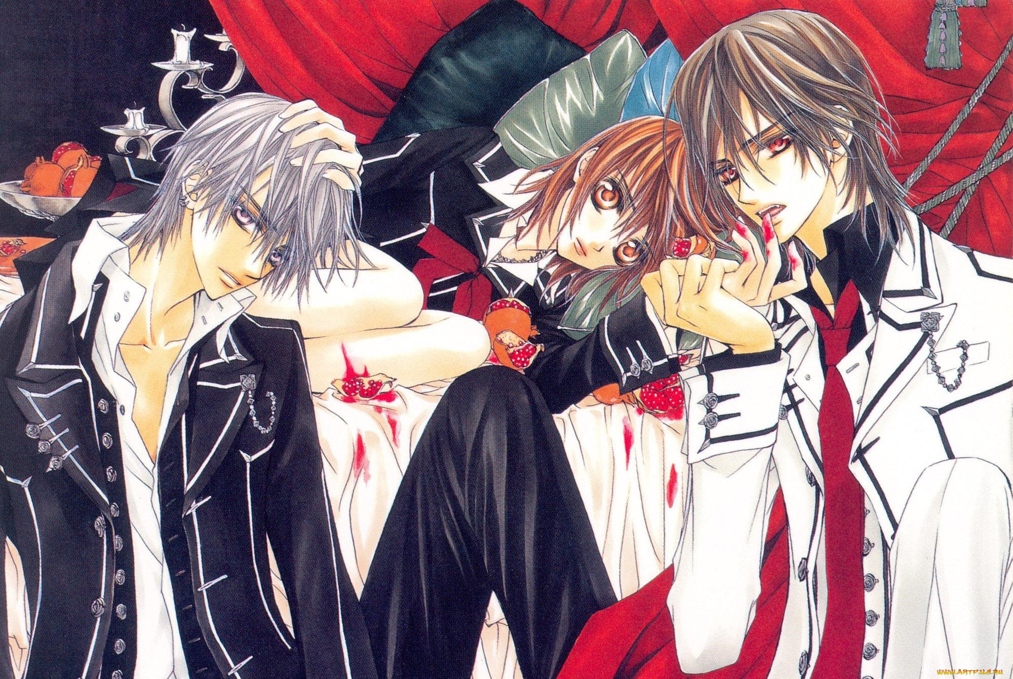 , vampire knight, vampire, knight